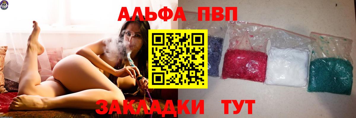Alfa_PVP СК КРИС Ейск