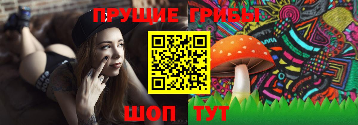 Галлюциногенные грибы Psilocybine cubensis Ейск